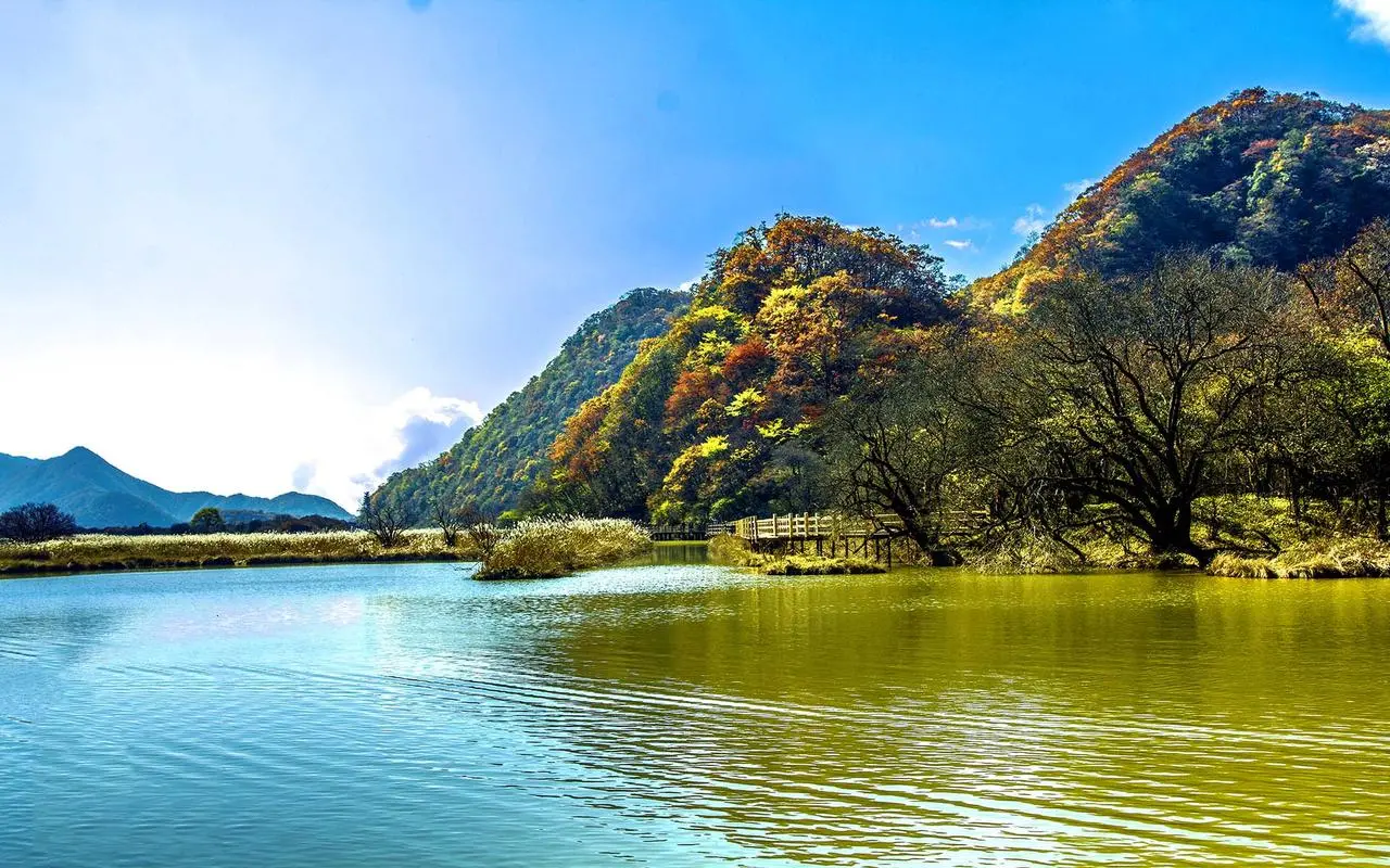 高性能高精度